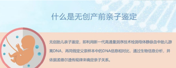 吐鲁番怀孕二个月需要怎么办理亲子鉴定,吐鲁番产前亲子鉴定收费多少钱